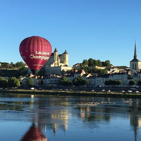 Le Moliere Vue Sur Loire Apartament *